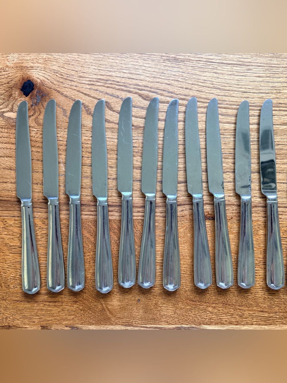 Reed & Barton Tarbor Stainless Steel Dinner Knife Set of 11